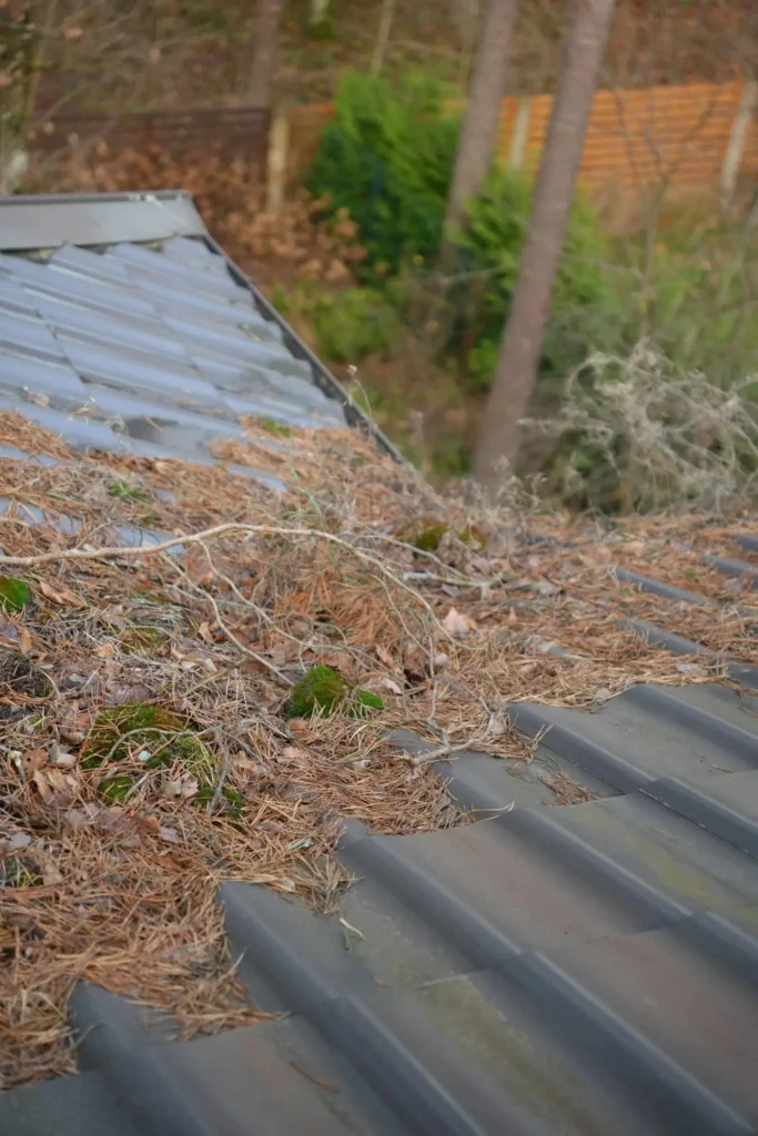 Ūdensnoteku tīrīšana un labošana