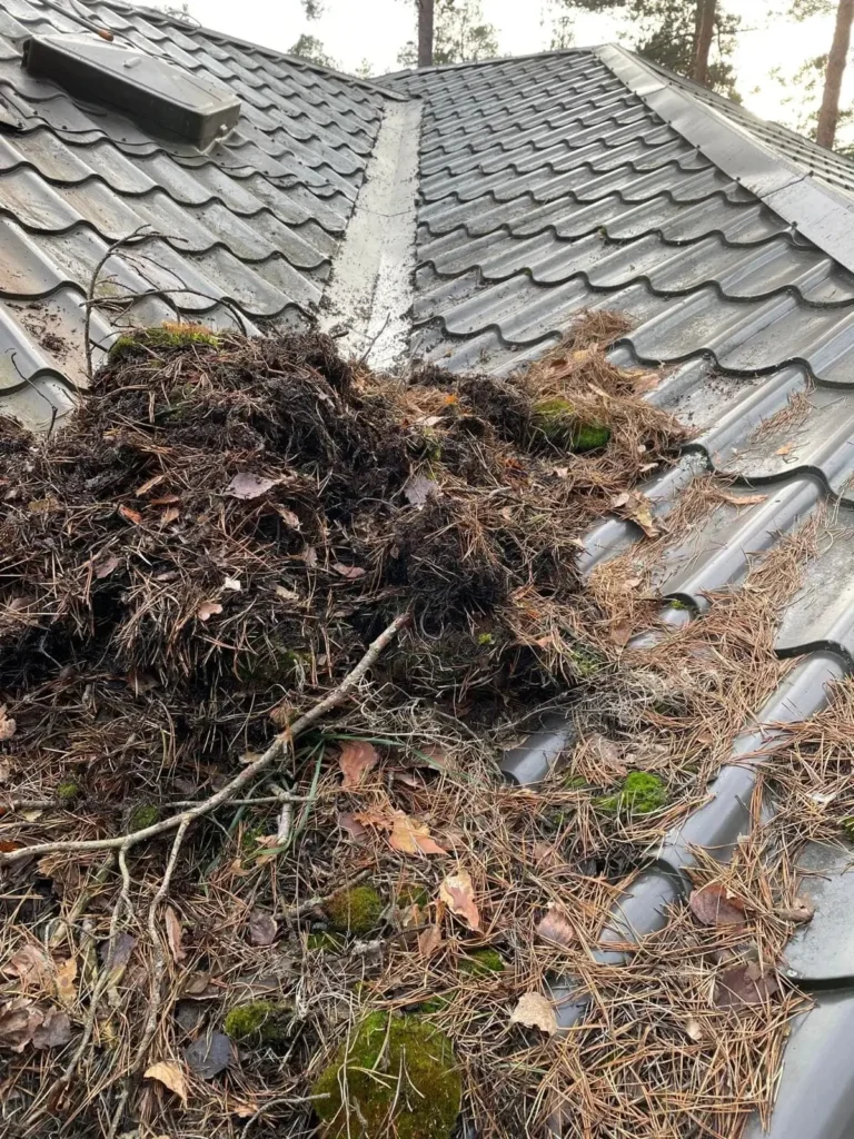 Ūdensnoteku tīrīšana un labošana